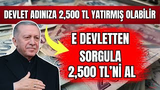 2500 TL ADINIZA TC NİZE DEVLET PARA YATIRMIŞ OLABİLİR BANA CIKMAZ DEME E DEVLETTEN SORGULA [upl. by Dupuis]