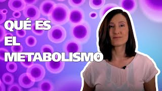 📕¿Qué es el METABOLISMO FÁCIL 👉 ANABOLISMO y CATABOLISMO [upl. by Endora792]