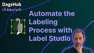 Automate the Labeling Process with Label Studio and DagsHub [upl. by Jewett]