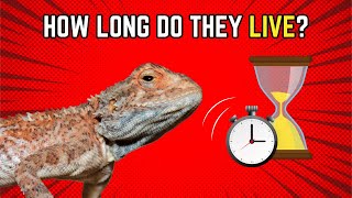 How Long Do Bearded Dragons Live 5 Lifehacks [upl. by Bannister333]