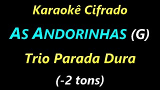 AS ANDORINHAS G Trio Parada Dura 2 tons Karaokê Cifrado [upl. by Felise]