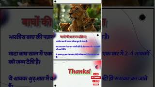 REPRODUCTION OF TIGER viral shorts tranding reproduction tiger indian wild life [upl. by Niroc]