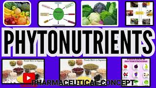 WHAT ARE PHYTONUTRIENTS or PHYTOCHEMICALS 2024  Pharmaceutical Concept  PC [upl. by Enohpesrep]