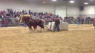 Orangeville Horses Pull 18000 lbs 2013 [upl. by Annet157]