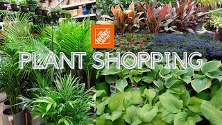 PLANT SHOPPING AT HOME DEPOT I INDOOR AND OUTDOOR PLANT TOUR [upl. by Block]