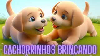 Cachorrinhos brincando [upl. by Hewart]