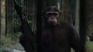 dawn of planet of the apes Music video [upl. by Chung300]