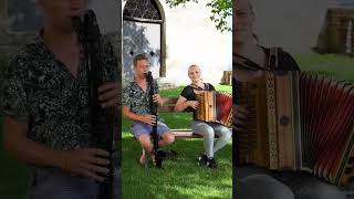 Alpenecho 🎶 Gespielt von Jamölschli 🤗 steirischeharmonika ziach oberkrainer volksmusik shorts [upl. by Wildon]