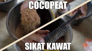 Cara membuat Cocopeat di rumah menggunakan Sikat kawat DIY COCOPEAT [upl. by Helas]