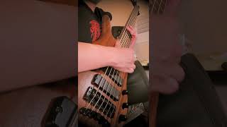 TesseracT  War Of Being djent bass guitar drums cover guitarcover slapbass [upl. by Anafetse703]