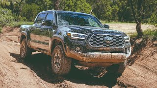 Stock Tacoma Offroading For The First Time [upl. by Jeffie]