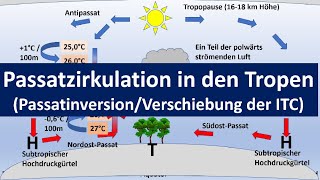 Passatzirkulation Passatkreislauf in den Tropen HadleyZellePassatinversion Erdkunde Oberstufe [upl. by Noived832]