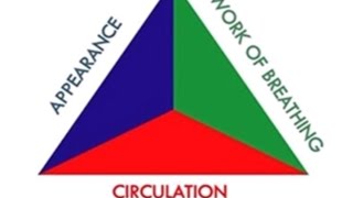 Paediatric Assessment Triangle [upl. by Clerc]