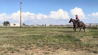 GLENCO 💥 Hip 68 Lonestar Stockyards [upl. by Cock]