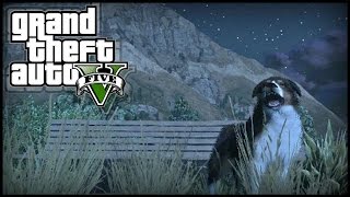 GTA 5 Next Gen  THREE Peyote Plant Locations 5 6 amp 7  quotPlay as Animalsquot 727 Peyote Plants [upl. by Sivi]