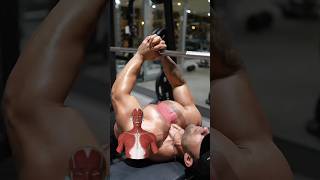 INNER CHEST WORKOUT  Targeted Exercise for a Stronger Chest [upl. by Einna]