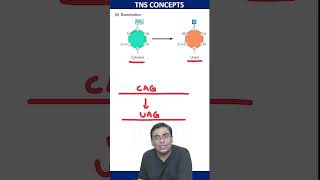 Deamination Of Cytosine  molecularbiology csirnet lifescience [upl. by Aseram]