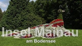 Bodensee die Insel Mainau ein Rundgang über die Insel mit einzigartiger großartigen Blumenbracht [upl. by Ocnarfnaig]