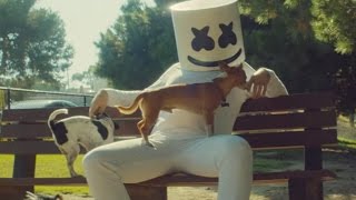 Marshmello  Ritual feat Wrabel Official Music Video [upl. by Llenehc]