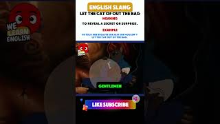 Cat out of the bag englishexpressions englishidioms idiomsandphrases [upl. by Lejeune]