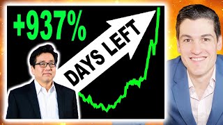 TOM LEE quotBUY THIS STOCK BEFORE ELECTIONquot [upl. by Ahsikyw]