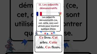 Les adjectifs démonstratifs [upl. by Enaillil]