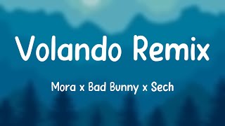 Volando Remix  Mora x Bad Bunny x Sech Letra 🎃 [upl. by Delainey948]