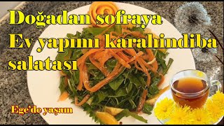 Egede yaşamev yapımı doğal ve besleyici KARAHİNDİBA salatası tarifi [upl. by Gardener497]