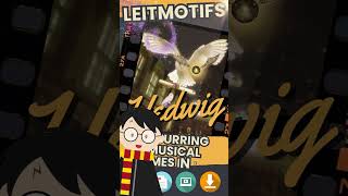 Leitmotifs and Film Music Hedwig  Harry Potter  John Williams [upl. by Ahtar]