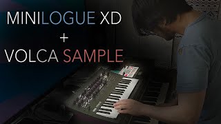 Minilogue XD amp Volca Sample Combo Test 1 [upl. by Olympie380]