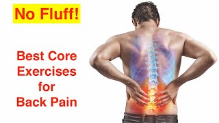 Best Core Exercises for Back Pain [upl. by Finn15]