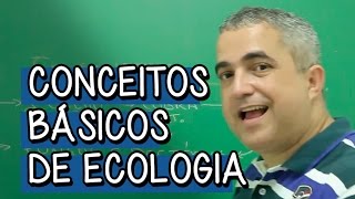 Níveis de Organizações Ecológicas  Extensivo Biologia  Descomplica [upl. by Elocal410]