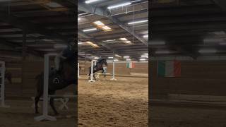 corwin was speedy and PERFECT today ❤️ fyp horse eq pony sub equine horsey equestrian [upl. by Frankhouse]