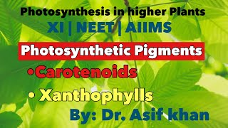 Carotenoids  Carotene amp Xanthophyll  Photosynthesis in higher Plants  XI  NEET  AIIMS [upl. by Aufa318]