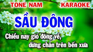 Karaoke Sầu Đông Tone Nam Nhạc Sống Beat Hay Dễ Hát [upl. by Rebecka]