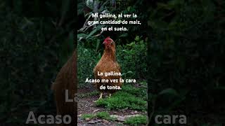 La gallina y el maíz meme 2024 memegallo viralvideo chistes diciembre [upl. by End]