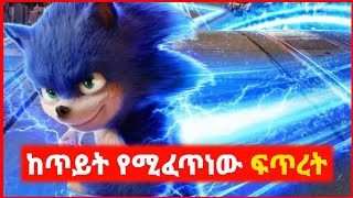 🔴 ከጥይት የሚፈጥነው ልዩ ፍጥረት  ሶኒክ 12  film wedaj  mert film  ምርጥ ፊልም  sera film [upl. by Kreegar]