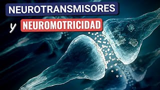 Neurotransmisores y Neuromotricidad [upl. by Lezah]