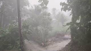 Heavy Rain and Lightning on a Beautiful Afternoon  Terrifying Thunderstorms in Rural Indonesia [upl. by Treble]