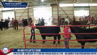 Muscatine County Fair  Cattle Show  LIVE [upl. by Omrelliug8]