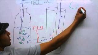 Celda de combustible microbiana MFC  Video explicativo [upl. by Innek]