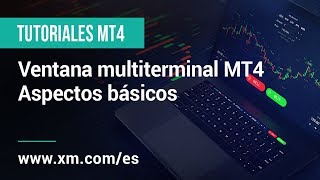 XMCOM  Tutoriales MT4  Ventana multiterminal MT4  Aspectos básicos [upl. by Gussy]