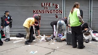 Life in KENSINGTON Week of the BIG cleanup May 2024 [upl. by Bremser]