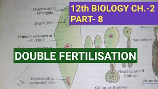 Class 12 biology chapter2 Part8  Double fertilisation Study with Farru [upl. by Stiruc]