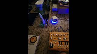 Unboxing Behringer TD3 Analog Bass Line Synthesizer with 16Step Sequencer [upl. by Kyre]