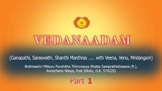 VEDANAADAM  Part 1 Ganapathi Saraswathi Shanthi Manthras with Veena Venu Mridangam [upl. by Nosredna861]