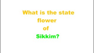 What is the state flower of Sikkim [upl. by Montana]