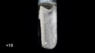 AgNO3  Zn silver nitrate  zinc [upl. by Nauqe959]