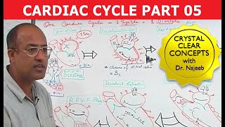 Cardiac Cycle  Systole amp Diastole  Dr Najeeb Part 58 [upl. by Wiebmer]