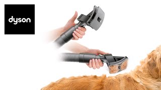 Messfree vacuumassisted dog grooming See the Dyson Groom tool in use [upl. by Adnanref]